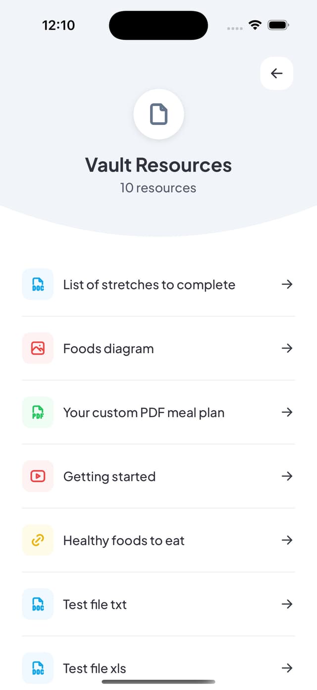 Client access to individual resources and documents
